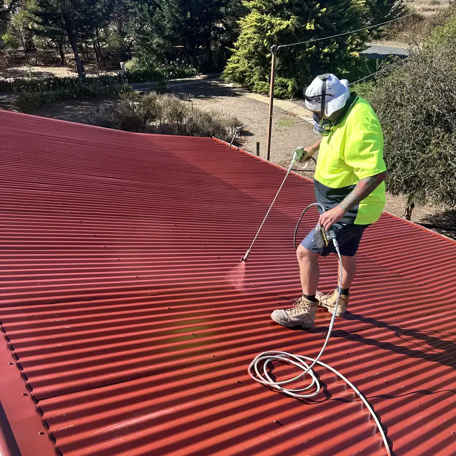 Roof Painting
