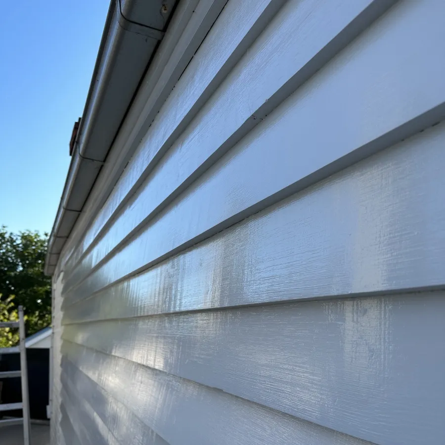 Paint Coatings